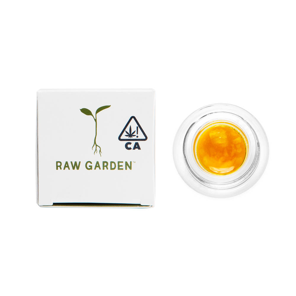 GG4 - LIVE SAUCE