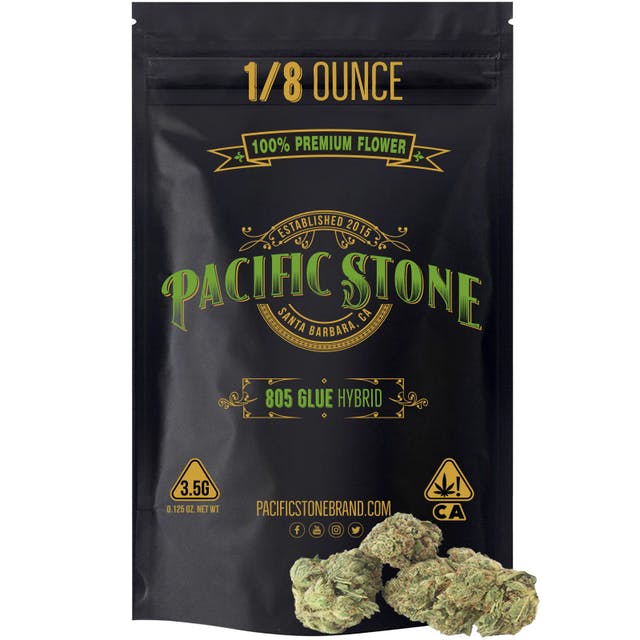 805 GLUE