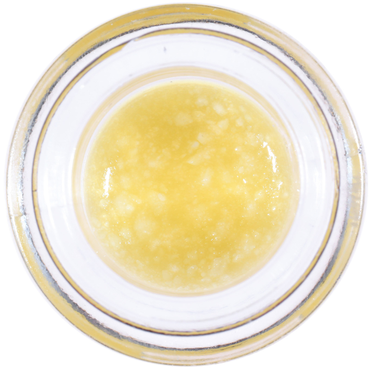 GELONADE 1G SAUCE