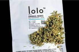 ANIMAL MINTS 21G READY TO ROLL