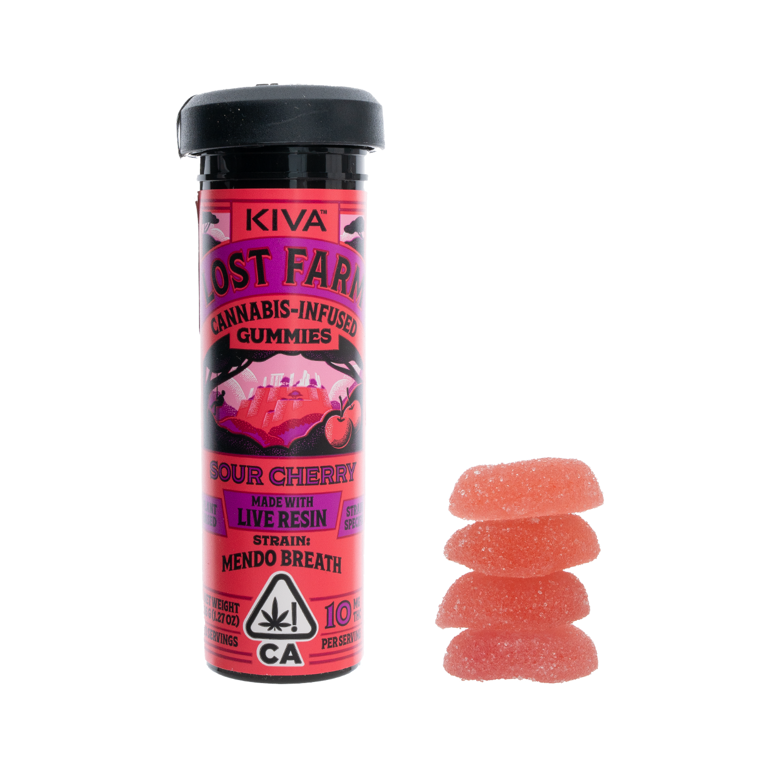 SOUR CHERRY - LOST FARM