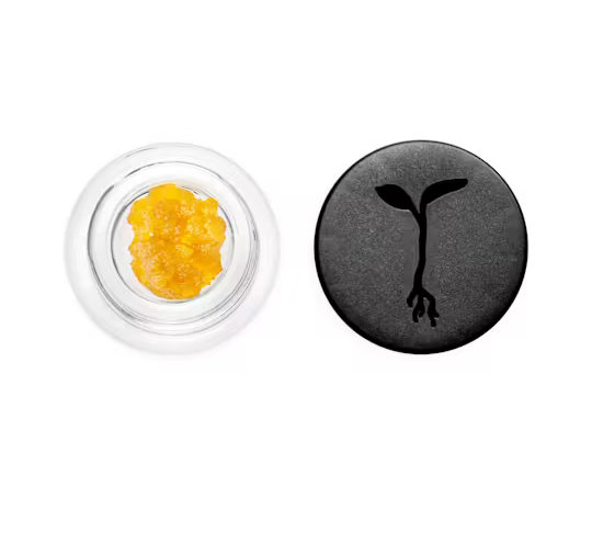 Live Resin Sauce | Apple Fritter