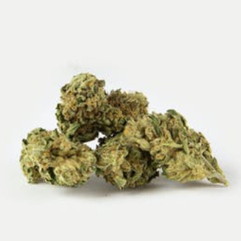 BLUEBERRY KUSH 3.5G FLOWER