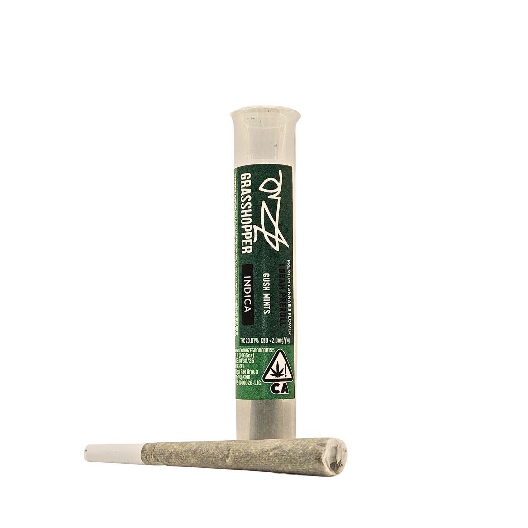 Gush Mints | Indica 1 G