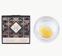Mimosa   Sativa