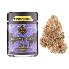 Purple Pineapple