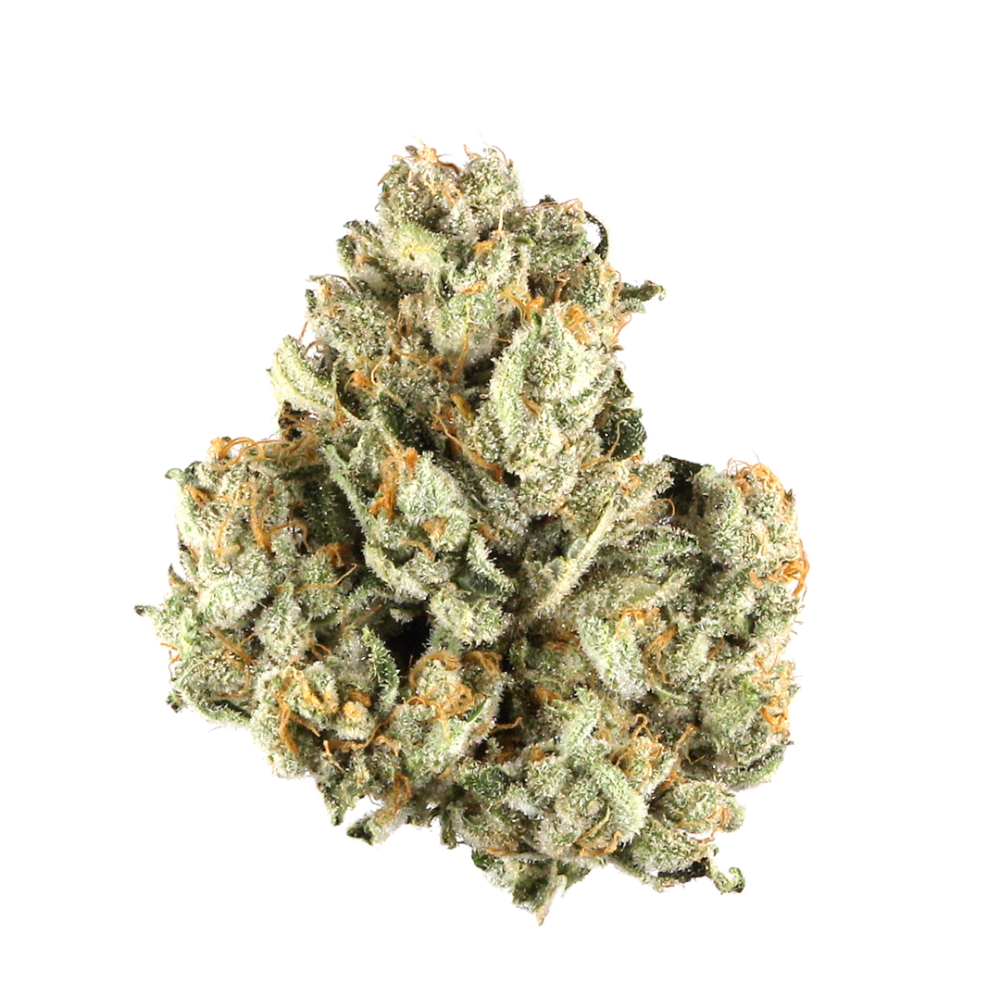 SOL CANNA Fresh Powder Bud 3.5g