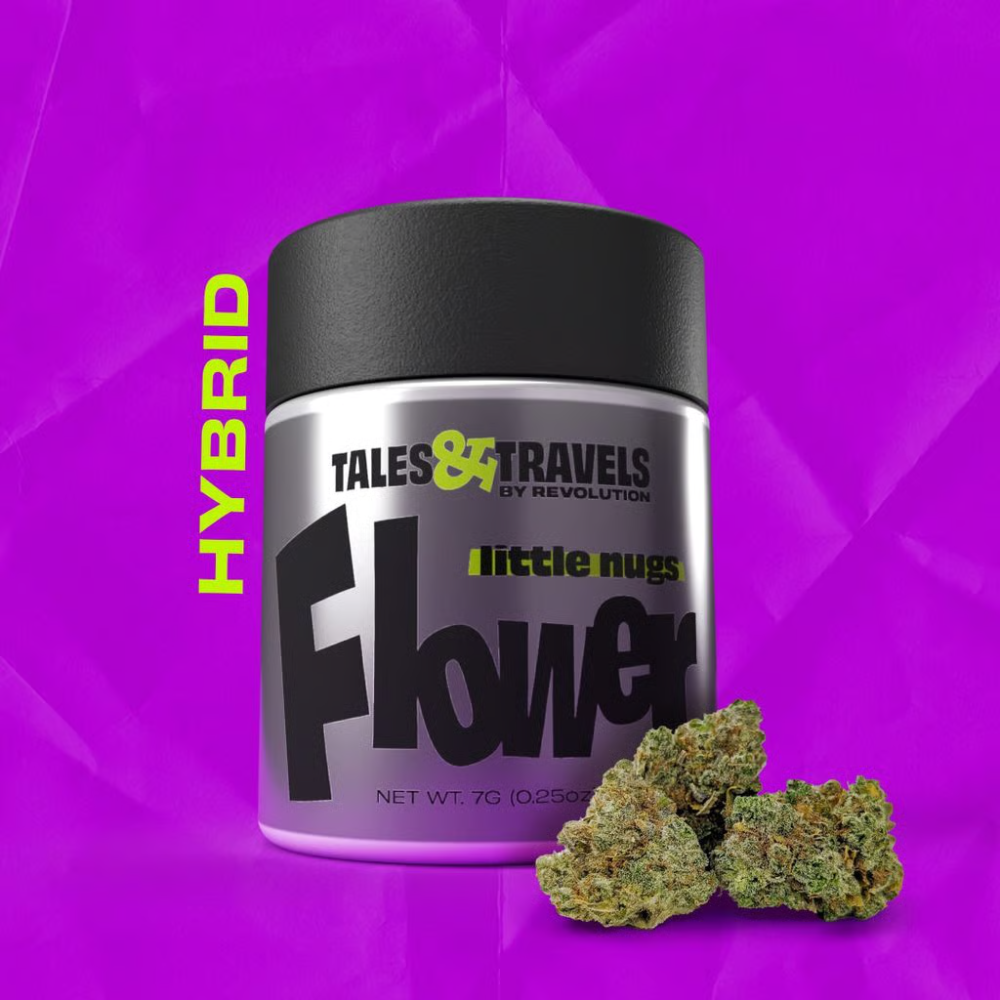 Revolution Tales & Travels Georgia Pie 7g