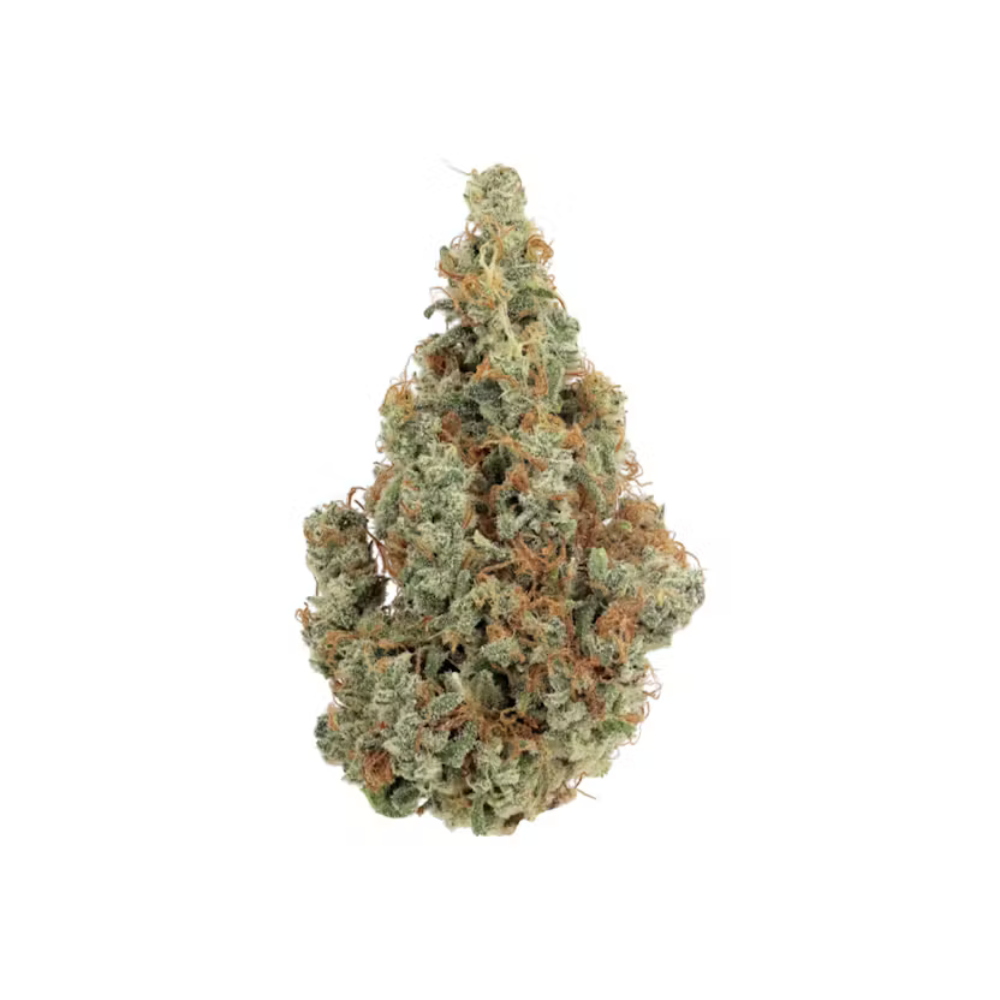 Revolution Blueberry Clementine 14g