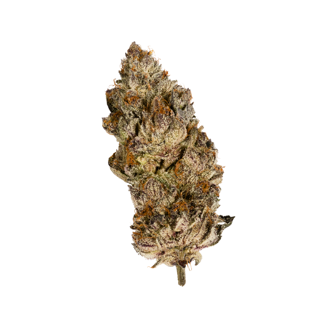 Cannect Acai Gelato x Sherb 3.5g