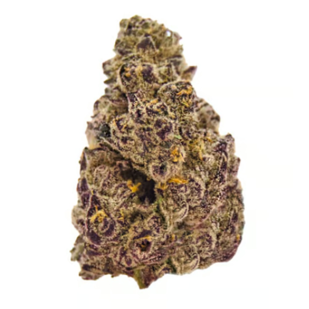 TOASTED RAVIOLI - FLOWER - 3.5G