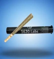 Pineapple Donut Preroll