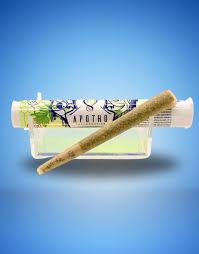 Tropical Preroll