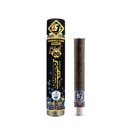 INFUSED BLUNT PREROLL [2G] CHAMPELLI CASSIS - 2 G product image