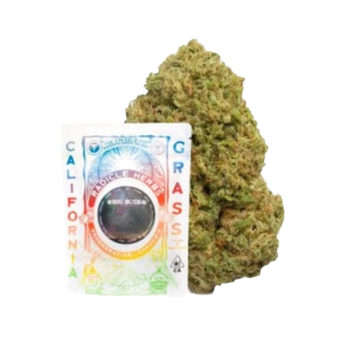 FLOWER [14G] PAPAYA PUNCH - 14 G