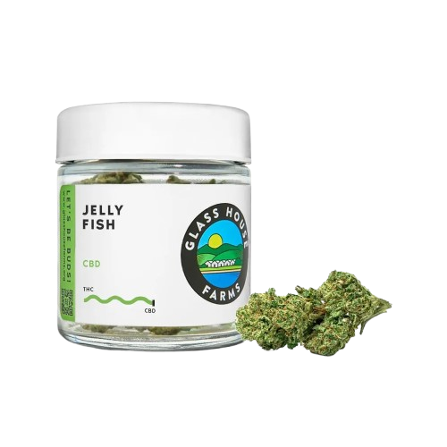 CBD FLOWER [3.5G] JELLY FISH - 3.5 G product image