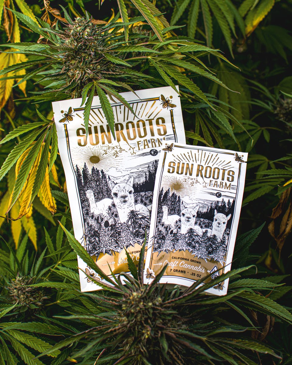 FLOWER [28G] VELVET GELPAYA - 28 G