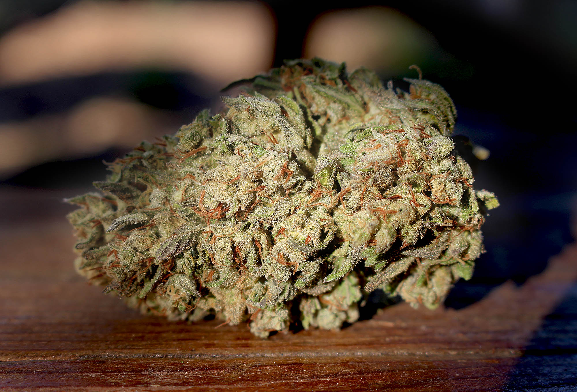 FLOWER [14G] MAGIK MOONBEAM - 14 G product image