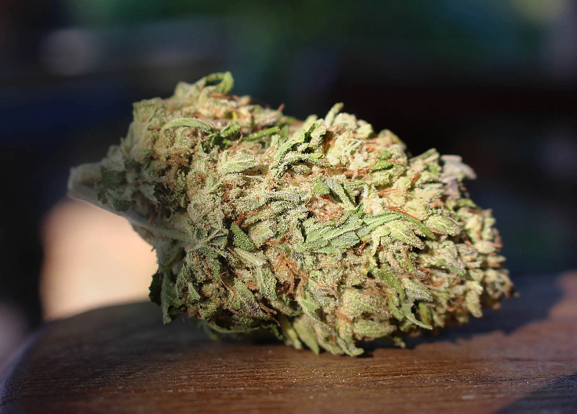 FLOWER [14G] APRICOT CAKE - 14 G product image