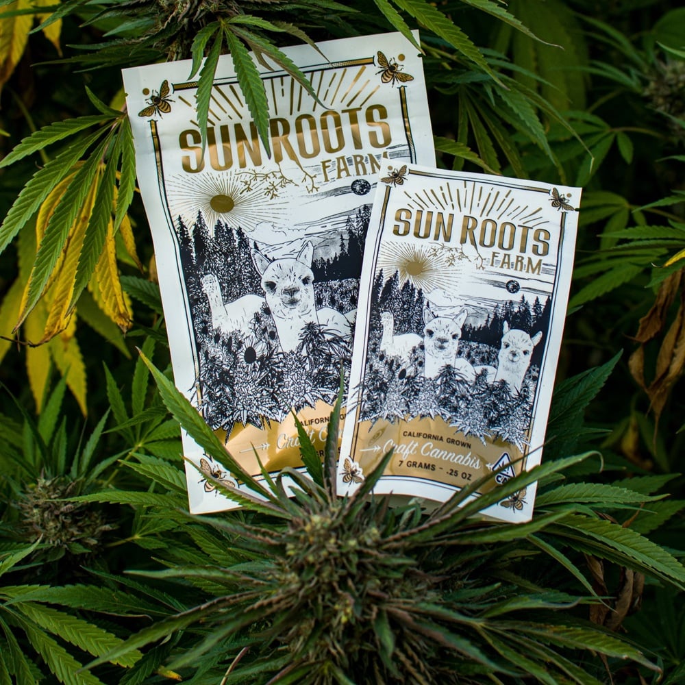 FLOWER [28G] MENAGE - 28 G