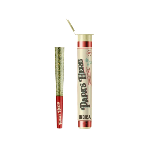INFUSED PREROLL [1G] RAZZBERRY ZLUSHIE - 1 G product image