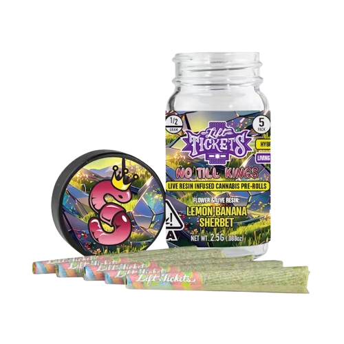 INFUSED PREROLL 5PK [2.5G] LEMON BANANA SHERBERT BY NO TILL KINGS - 2.5 G - 5 PACK product image