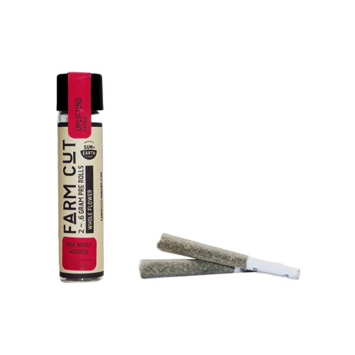 PREROLL 2PK [1.2G] PINK BOOST GODDESS BY EMERALD SPIRIT BOTANICALS - 1.2 G - 2 PACK product image