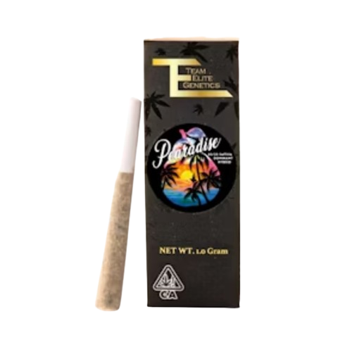 PREROLL [1G] PEARADISE - 1 G