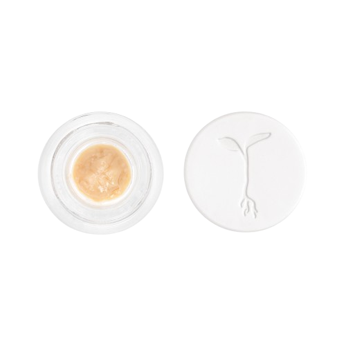 LIVE ROSIN [1G] ROSE - 1 G product image