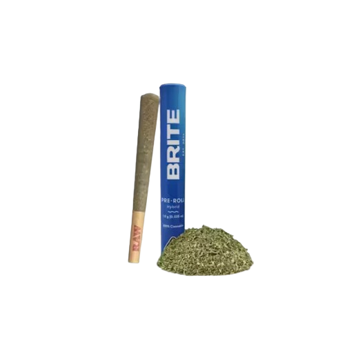 PREROLL [1G] MIMOSA - 1 G product image