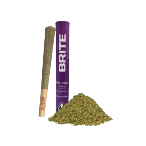 PREROLL [1G] SPACE STATION - 1 G product image