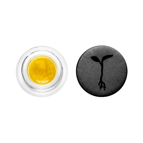 LIVE RESIN SAUCE [1G] GRAVY - 1 G product image