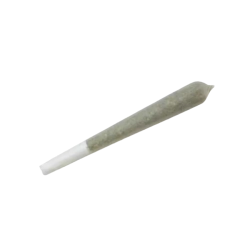 PREROLL [1G] HYBRID - 1 G product image