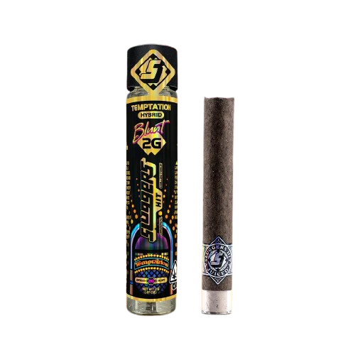 INFUSED BLUNT PREROLL [2G] TEMPTATION - 2 G product image