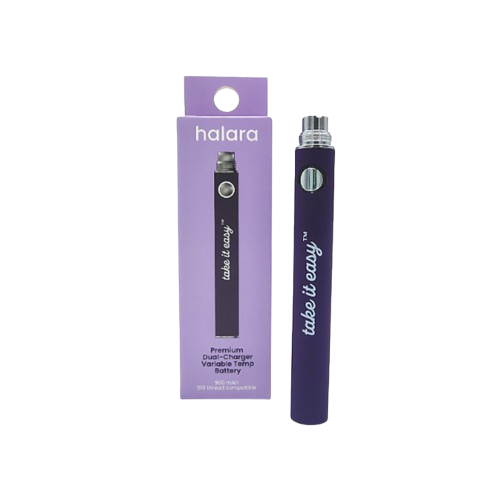 DUAL CHARGE BATTERY (900MAH) [PLUM] - ONE SIZE product image