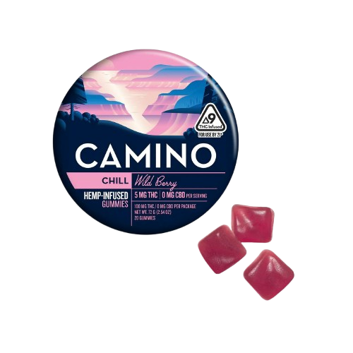 GUMMIES 20PK [100MG] WILD BERRY - 100 MG - 20 PACK
