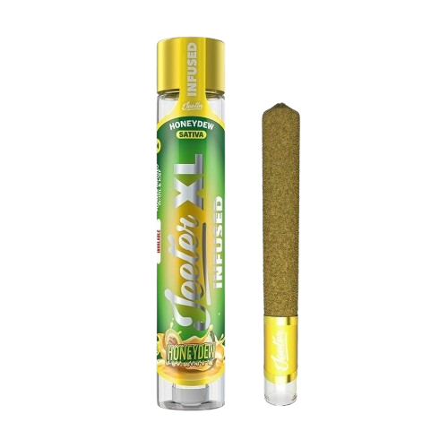 XL INFUSED PREROLL [2G] HONEY DEW - 2 G product image