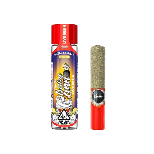LIVE ROSIN BABY CANNON INFUSED PREROLL [1.3G] ROYAL GORILLA - 1.3 G