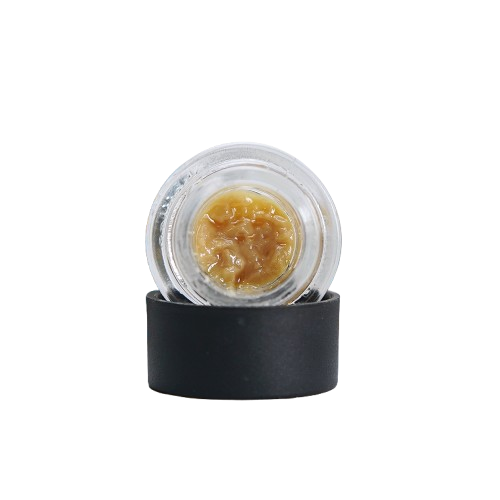 LIVE ROSIN [1G] BANANA PUDDING - 1 G product image