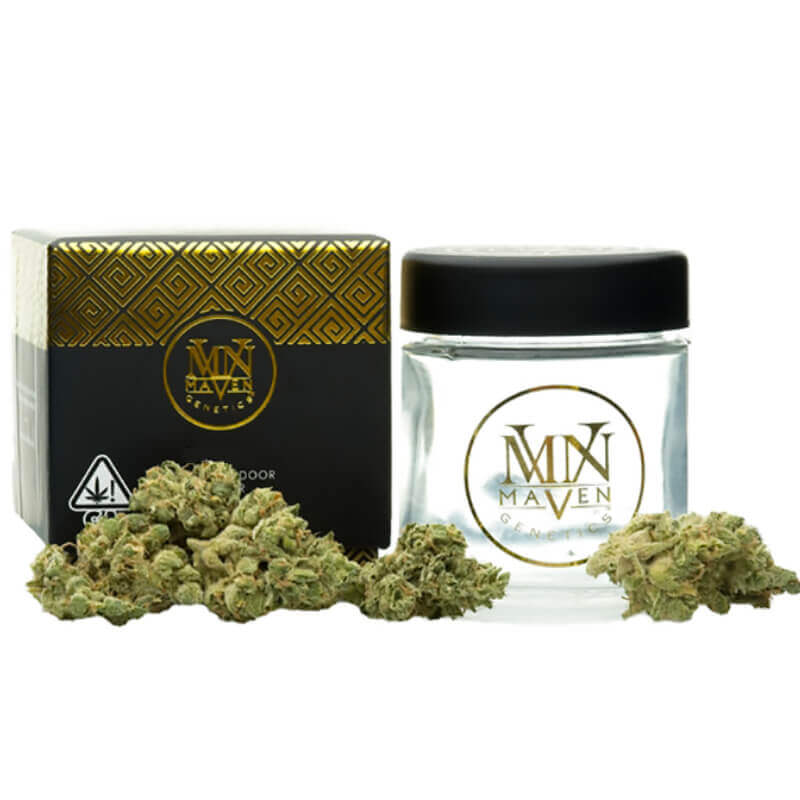 MVN | KEY LIME JACK | 3.5G
