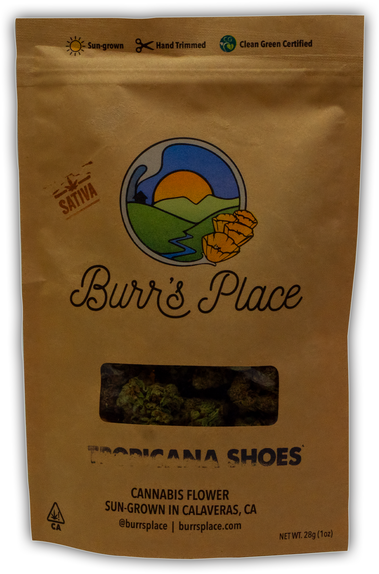 BURRS PLACE | TROPICANA SHOES | 28G