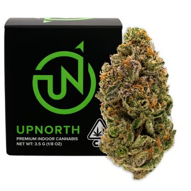 UPNORTH | CHEETAH PISS | 3.5
