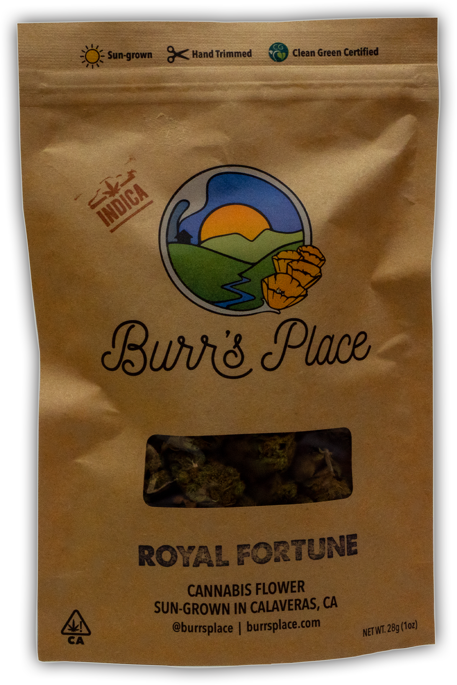 BURRS PLACE | ROYAL FORTUNE | 28G
