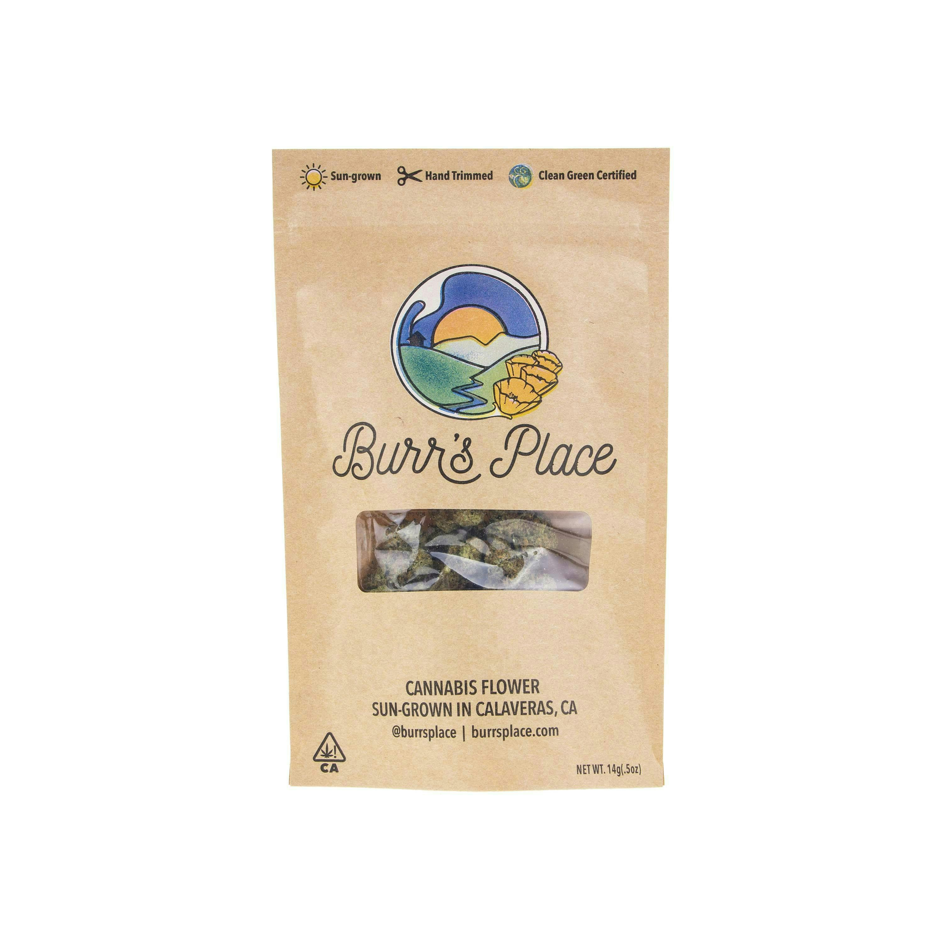 BURRS PLACE | TRIPLOID | 28G