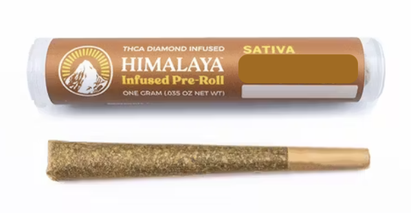 HIMALAYA | SATIVA | LIMONCELLO | 1G | INFUSED | PRE ROLL