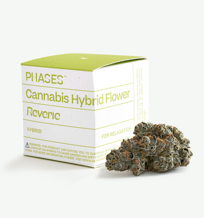 PHASES | REVERIE | MUSE | 3.5G