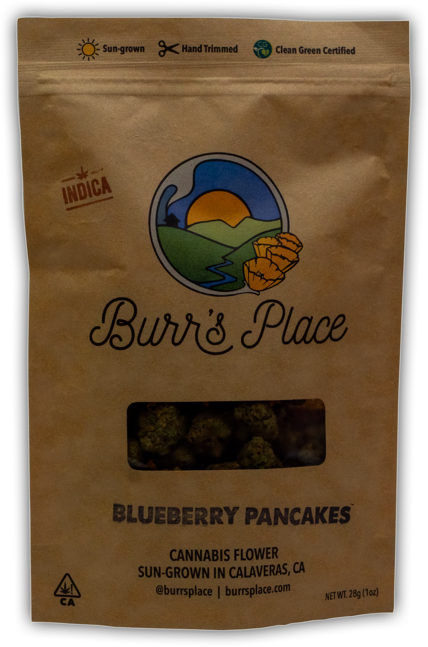 BURRS PLACE | BLUEBERRY PANCAKES | 28G