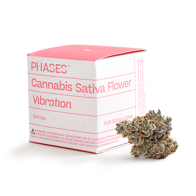 PHASES | VIBRATION | HAWAIIAN HEADBAND | 3.5G