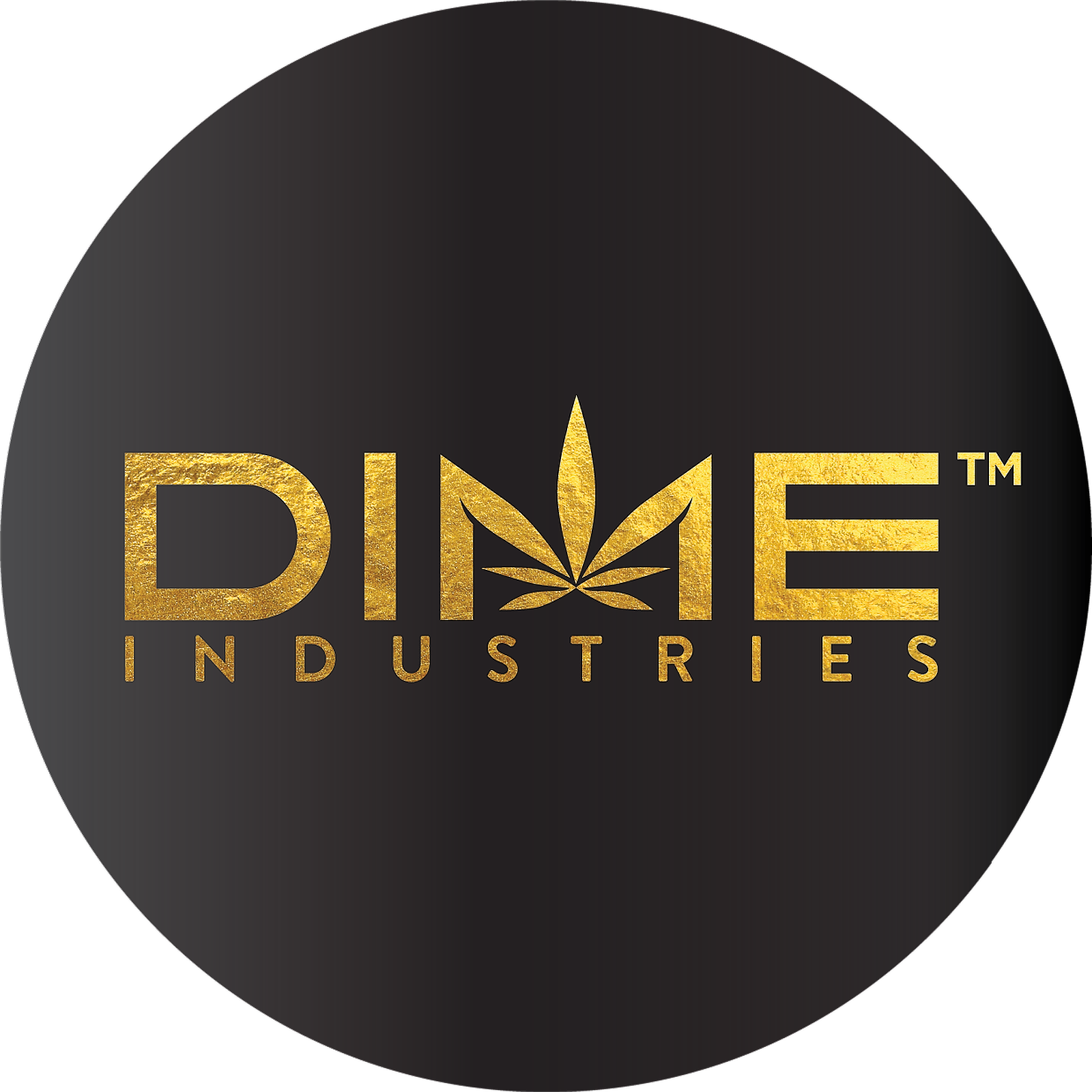 DIME | RED PLUM | 1G | AIO