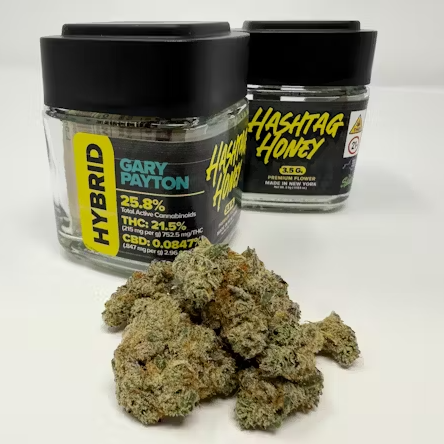 Hashtag Honey | Gary Payton | Flower - 3.5 g